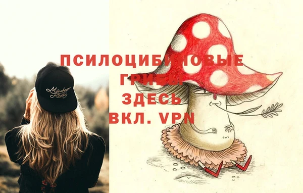 ALPHA-PVP Богданович